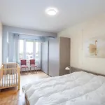 Lecomte - The Coastal Shoreline 139